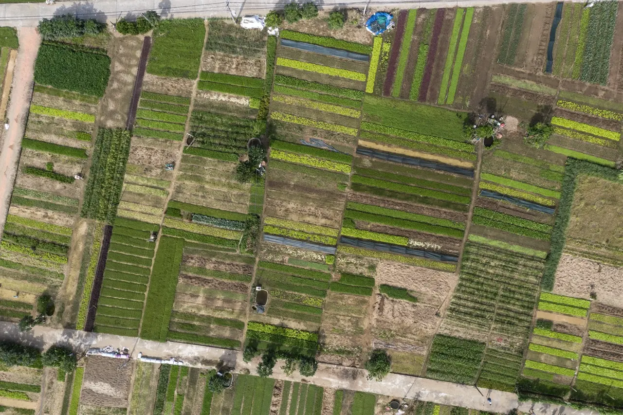 Departamento técnico